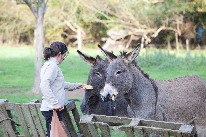 Rando Entre Deux O 2011-2960.jpg